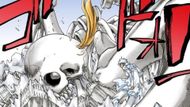 Gerard killed by the Auswahlen as seen in the Bleach manga (Image credit: Shueisha)
